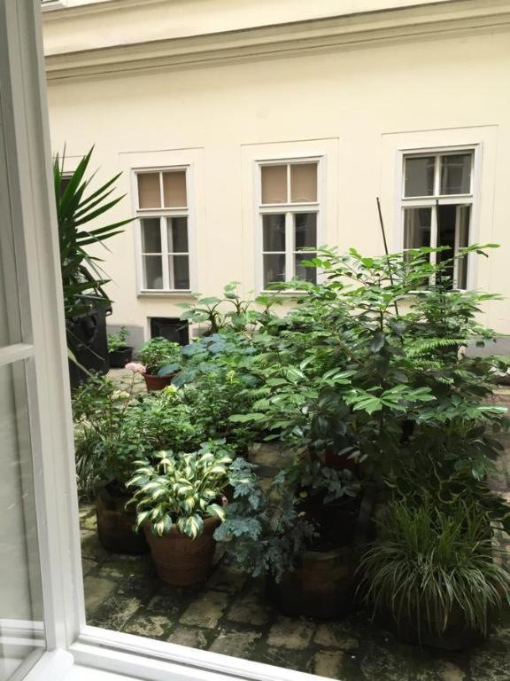 City Apartment Wenen Buitenkant foto